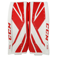 GPP2.9 PRE IN PADS CCM DETR
